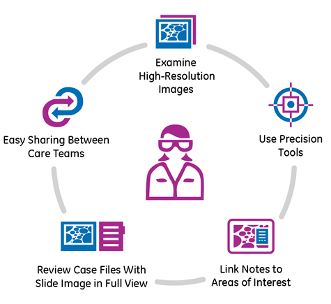 Digital Pathology Systems Engineering